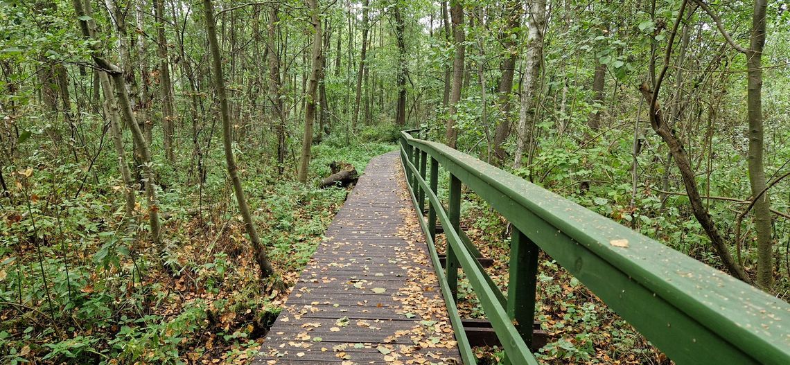 Prognoza pogody w Otwocku – nadchodzące dni przyniosą zmiany! Prognoza pogody w Otwocku – nadchodzące dni przyniosą zmiany!