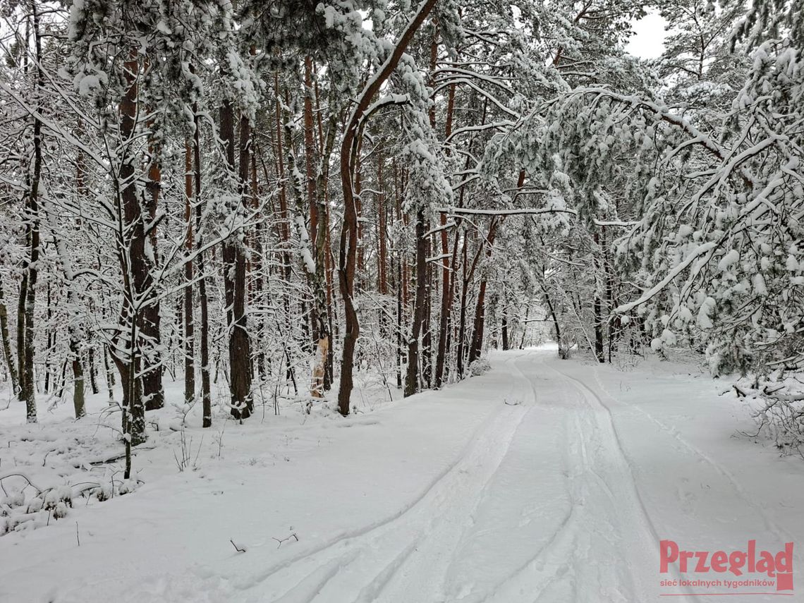 Przewidywana pogoda w Otwocku – mroźne dni z opadami śniegu i deszczu