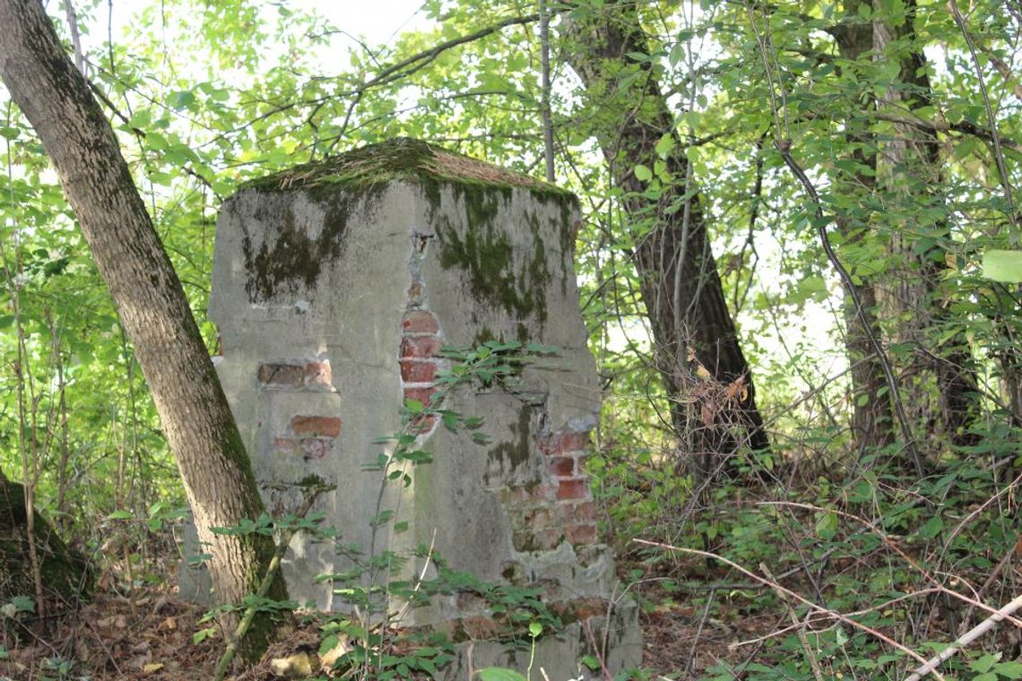 Rekonstrukcja kapliczki - bez was się nie uda! Rekonstrukcja kapliczki - bez was się nie uda!