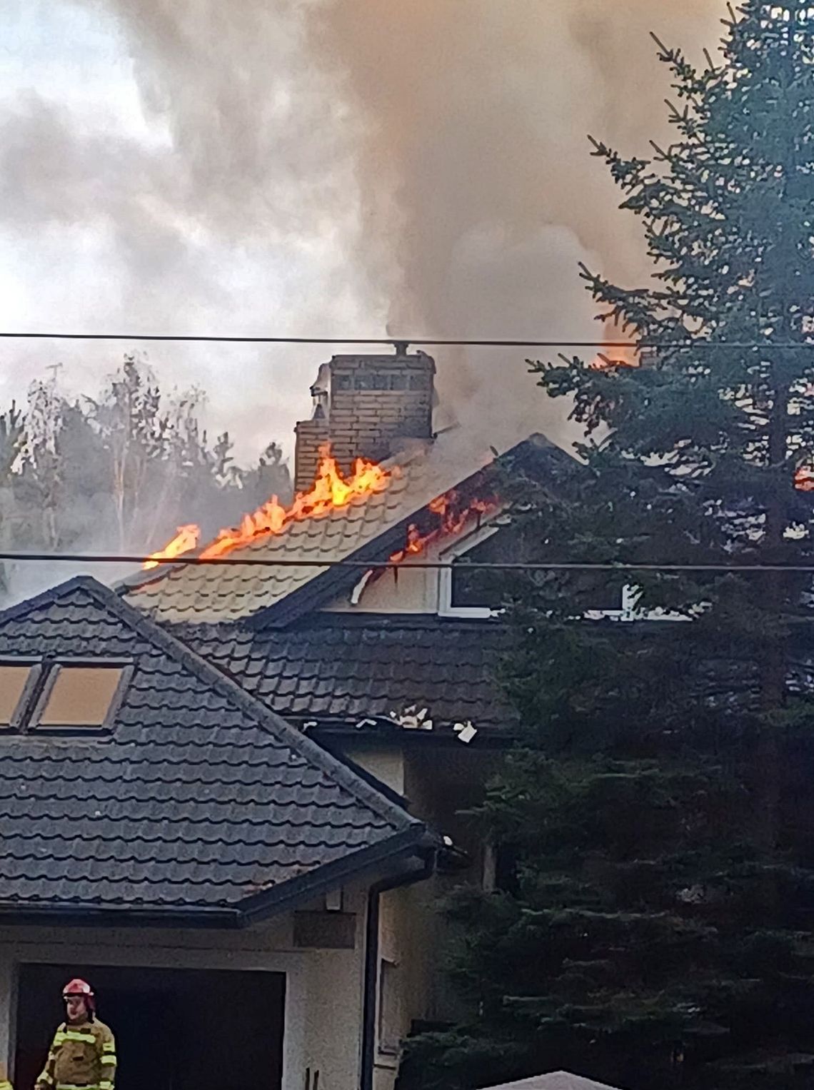 Rodzina straciła dach nad głową. W pożarze zginęły dwa ich psy