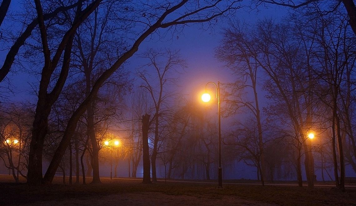 Sprawcy narazili własne życie, aby dokonać serii aktów wandalizmu