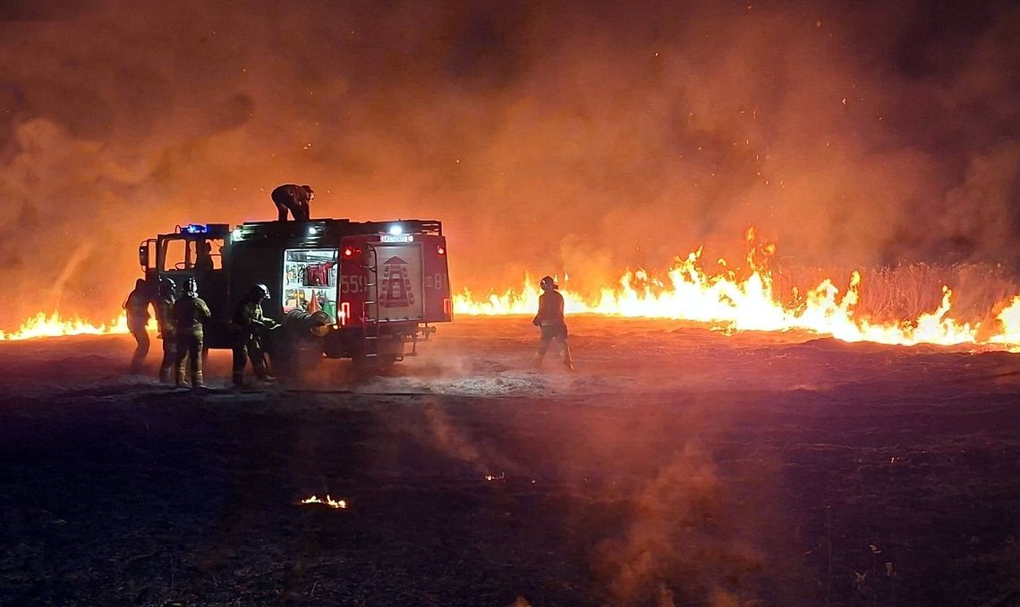 Seria pożarów traw w powiecie otwockim. Gdzie pali się najczęściej? Seria pożarów traw w powiecie otwockim. Gdzie pali się najczęściej?
