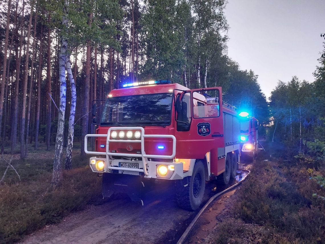 Seria pożarów w powiecie otwockim. Co jest przyczyną?