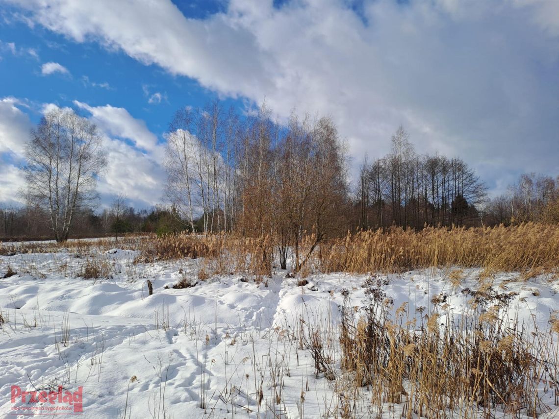 Śnieg i chłód w Otwocku – prognoza na najbliższe dni