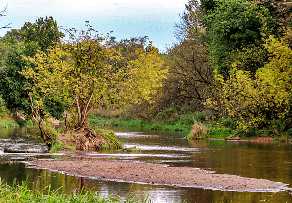Spacer fotograficzny nad Świdrem. Gdzie i kiedy?