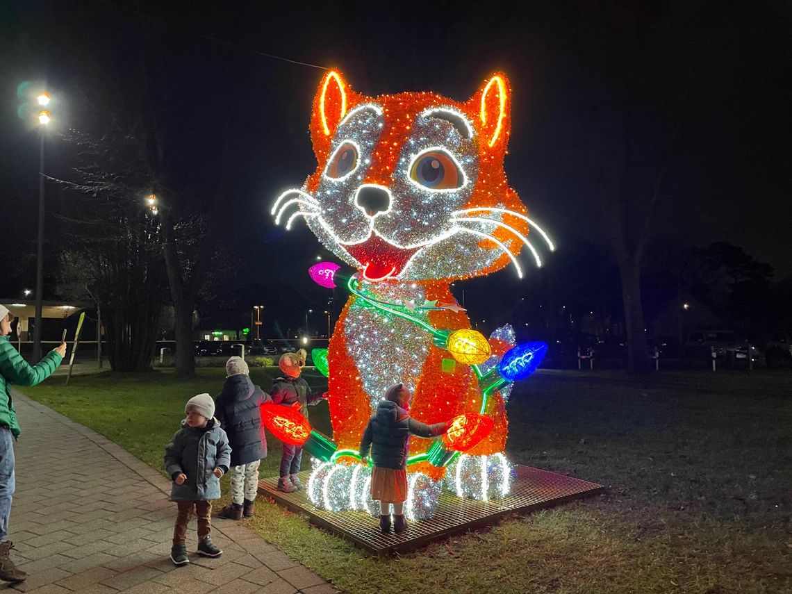 Świecący kot i pies w centrum Józefowa Świecący kot i pies w centrum Józefowa
