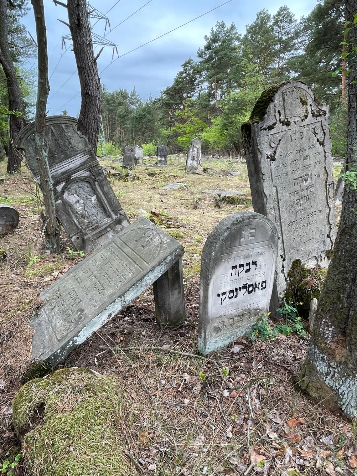 Tak wygląda zapomniany kirkut w Anielinie. Macewy kryją poruszające historie [FOTO]