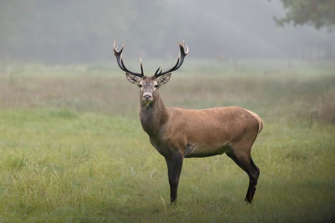 Ten pokaz trzeba zobaczyć! Najpiękniejsze miejsca parku krajobrazowego na zdjęciach – wstęp wolny Ten pokaz trzeba zobaczyć! Najpiękniejsze miejsca parku krajobrazowego na zdjęciach – wstęp wolny