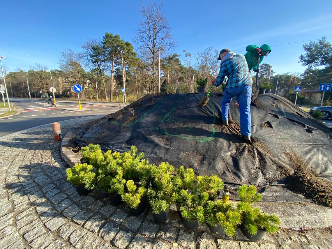 Kolejne rondo w Otwocku zamieni się w zieloną wyspę. Gdzie będą następne? Kolejne rondo w Otwocku zamieni się w zieloną wyspę. Gdzie będą następne?