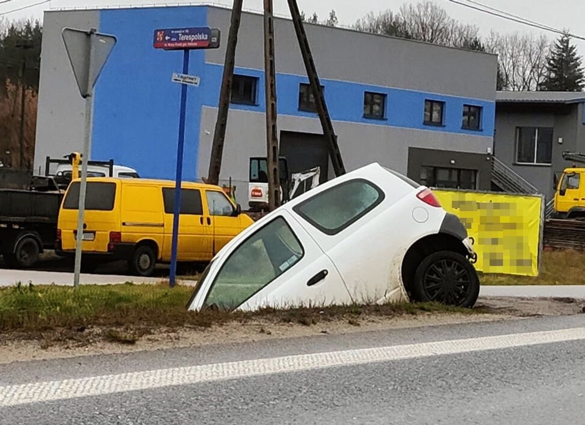 Toyota Yaris wylądowała w rowie. Interweniowali sołtys i policja [AKTUALIZACJA]