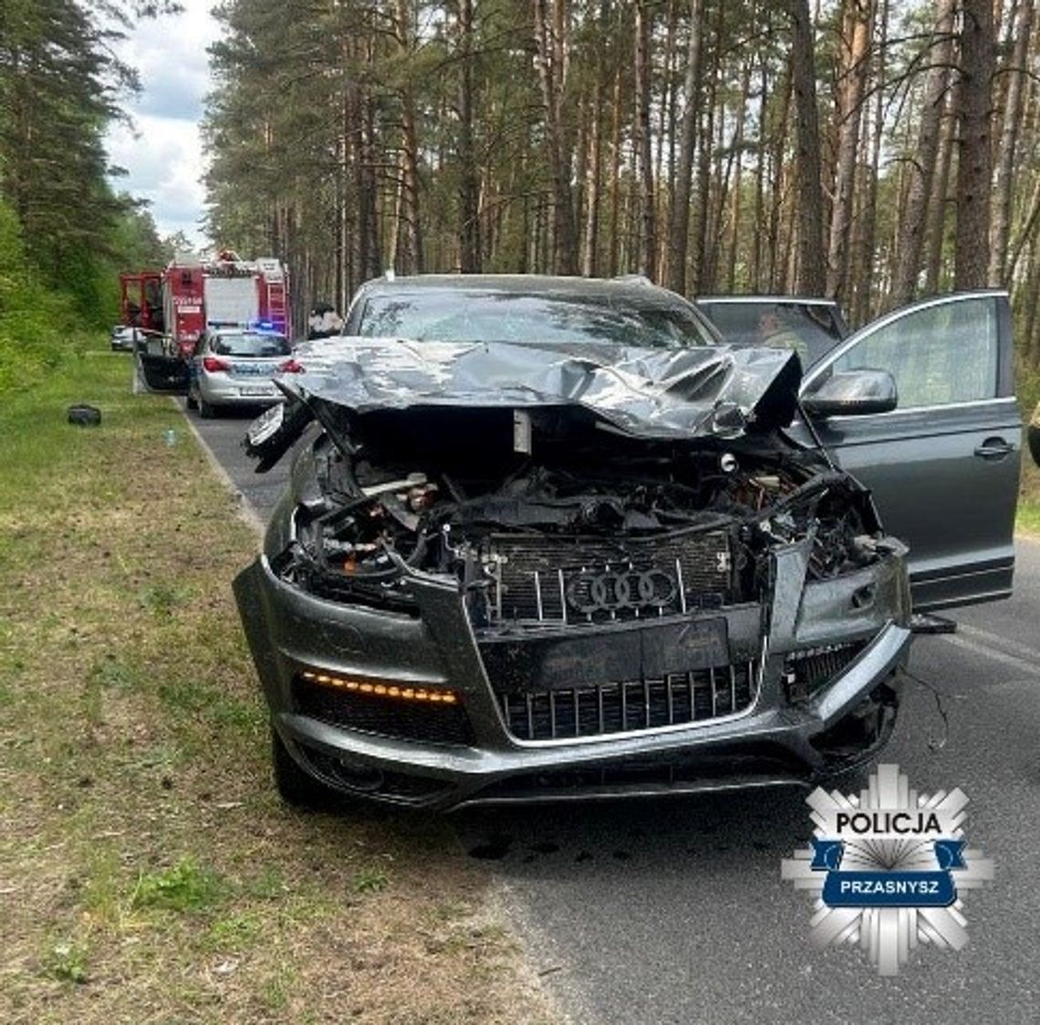 Uderzyłem w dzika. Kto za to zapłaci?