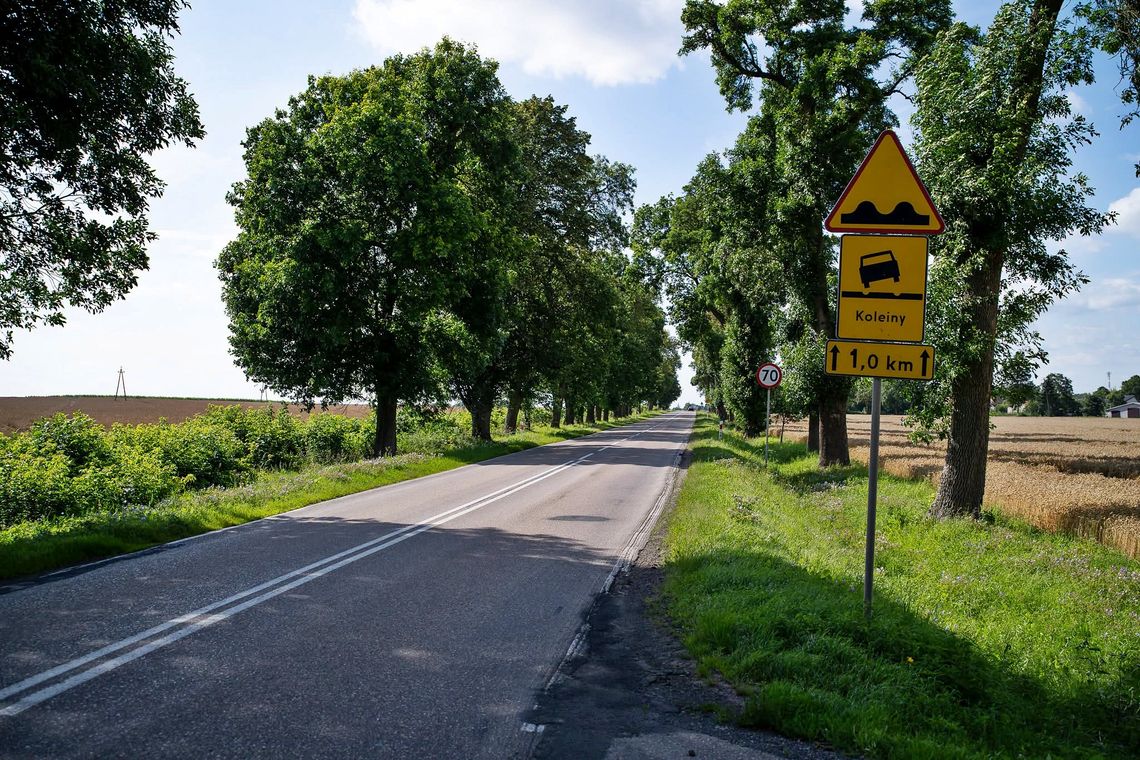 Utrudnienia na trasie Warszawa-Puławy. Drogowcy zaczynają kolejny remont na 801. Kiedy? Utrudnienia na trasie Warszawa-Puławy. Drogowcy zaczynają kolejny remont na 801. Kiedy?