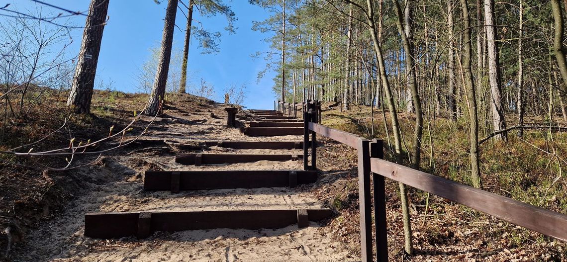 Wielkanoc na świeżym powietrzu. Gdzie wybrać się na spacer w Otwocku i okolicach [FOTO]
