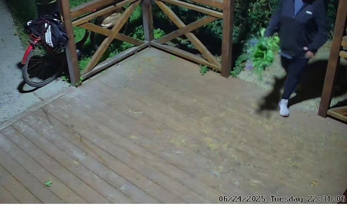 Z miejskich rabatek do prywatnego ogródka? Kradzież kwiatów przed Willą Balbinów