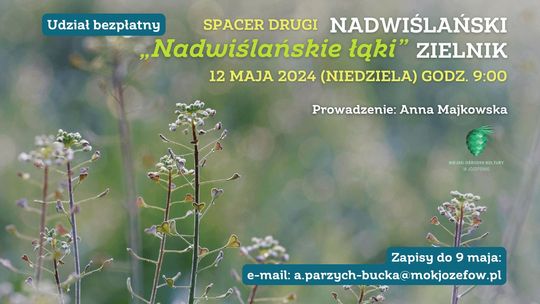 „Nadwiślański zielnik”: nadwiślańskie łąki - spacer 2.