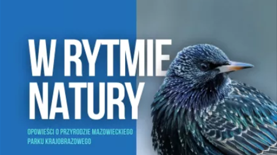 Wernisaż i wystawa Fotoklubu Magia Lasów i Bagien