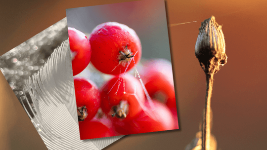 Wernisaż wystawy fotografii "Blisko, coraz bliżej"