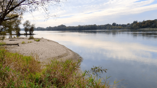 WŚRÓD ŁĘGÓW I ZIÓŁ: KWIETNIOWA WĘDRÓWKA NAD WISŁĄ / SPACER ZIOŁOWY
