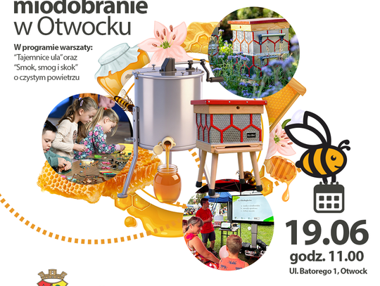 Miejskie miodobranie na pasiece z recyklingu