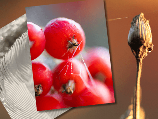 Wernisaż wystawy fotografii "Blisko, coraz bliżej"