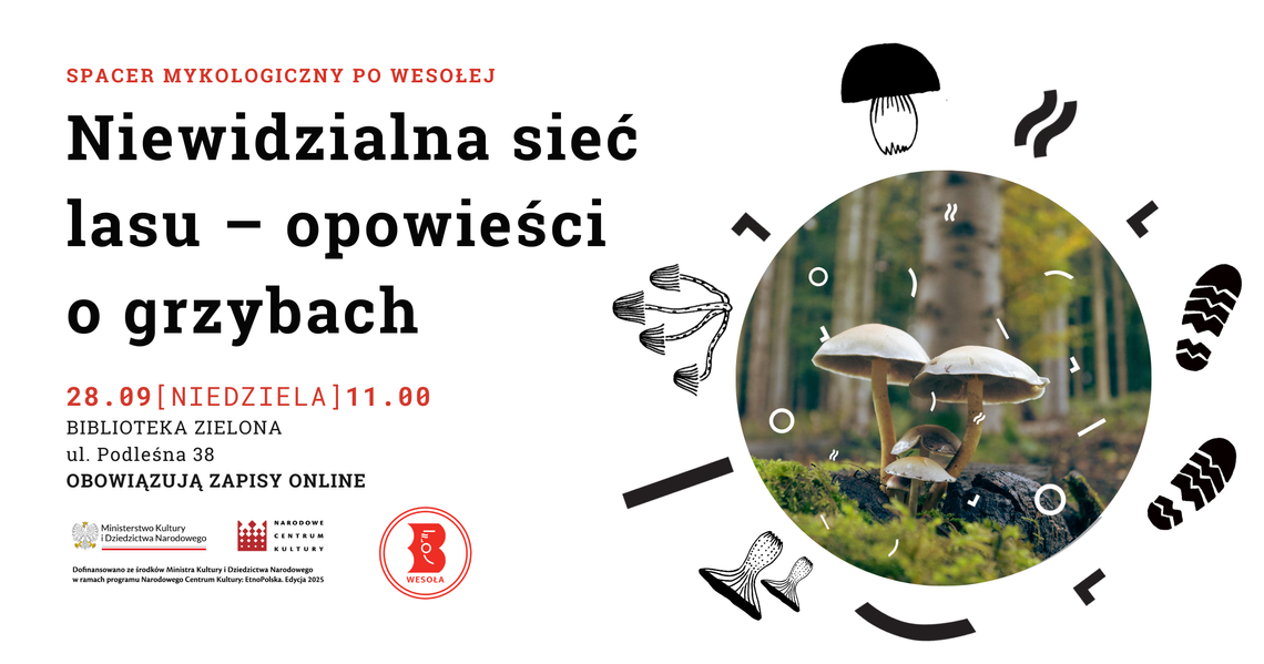 Niewidzialna sieć lasu - opowieści o grzybach. Spacer mykologiczny po Wesołej Niewidzialna sieć lasu - opowieści o grzybach. Spacer mykologiczny po Wesołej