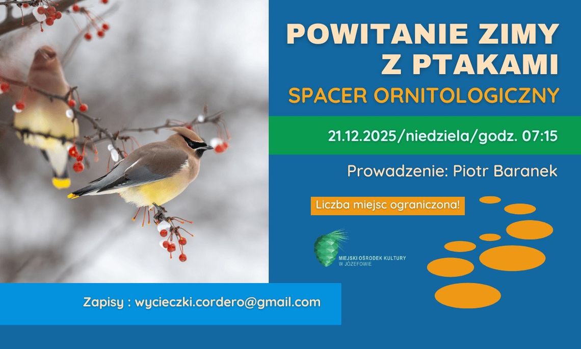Powitanie zimy z ptakami - spacer ornitologiczny Powitanie zimy z ptakami - spacer ornitologiczny