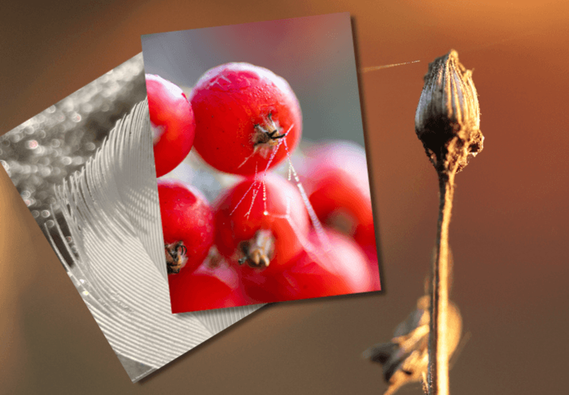 Wernisaż wystawy fotografii "Blisko, coraz bliżej"
