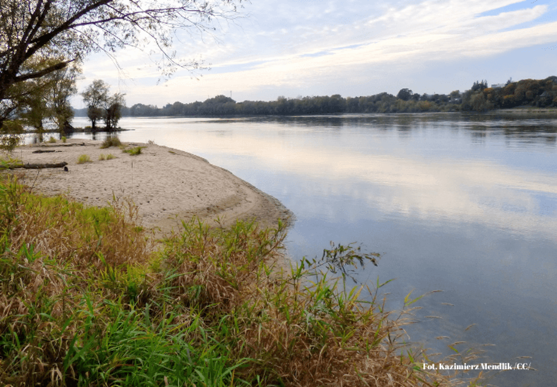WŚRÓD ŁĘGÓW I ZIÓŁ: KWIETNIOWA WĘDRÓWKA NAD WISŁĄ / SPACER ZIOŁOWY