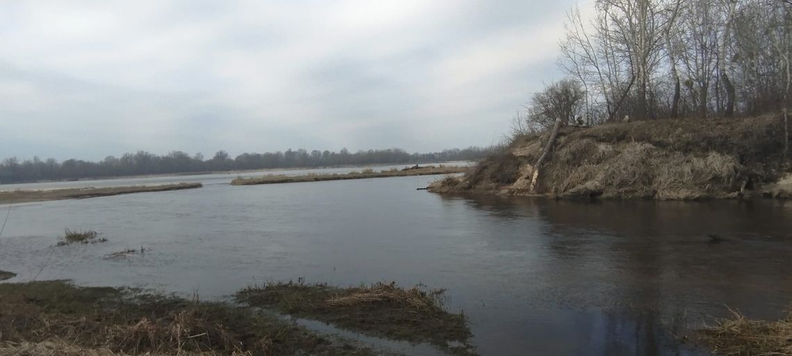 Wycieczka rowerowa nad ujście rzeki Świder z Wisłą śladami Reniferów + ognisko Wycieczka rowerowa nad ujście rzeki Świder z Wisłą śladami Reniferów + ognisko