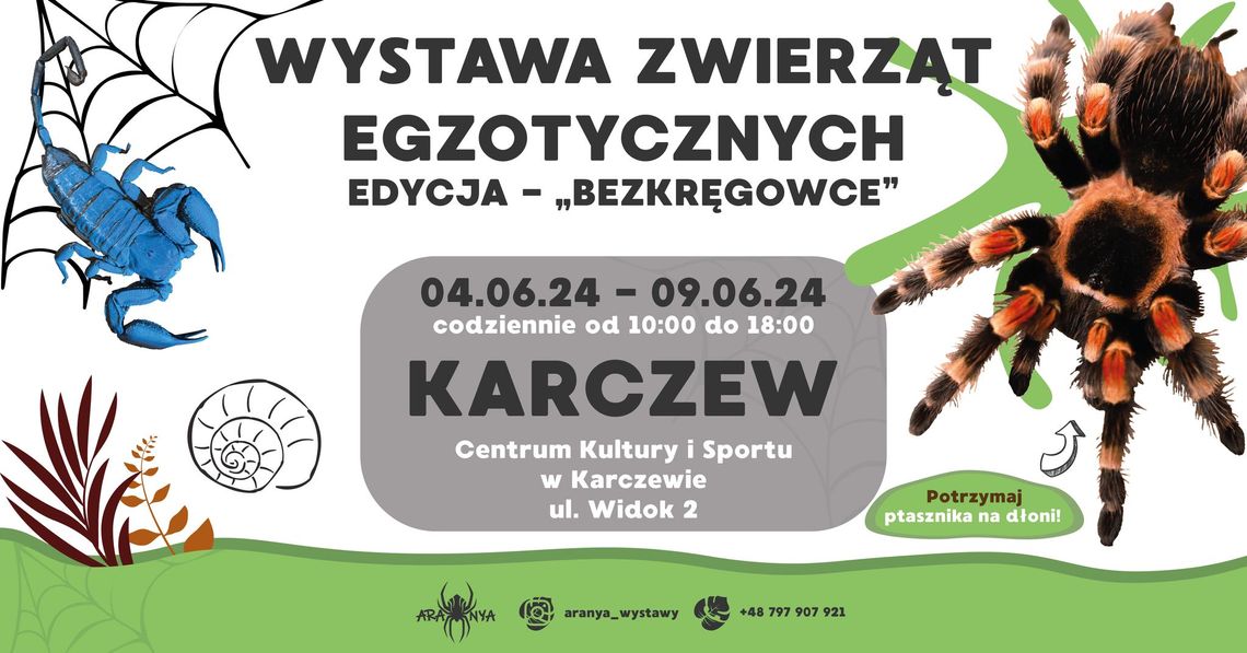 Wystawa Zwierząt Egzotycznych w Karczewie Wystawa Zwierząt Egzotycznych w Karczewie