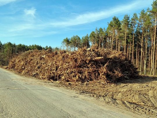 Budowa 13-kilometrowej obwodnicy Kołbieli