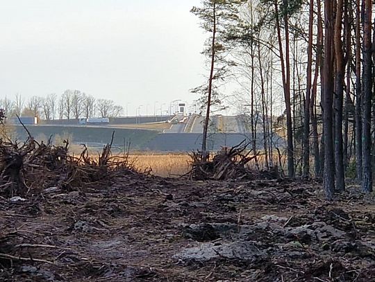Budowa 13-kilometrowej obwodnicy Kołbieli