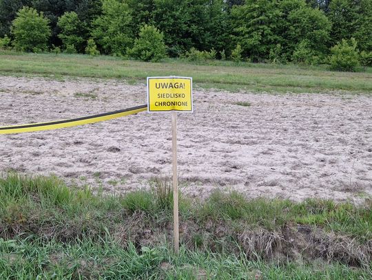Budowa 13-kilometrowej obwodnicy Kołbieli