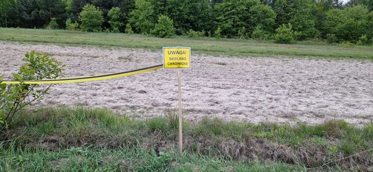 Budowa 13-kilometrowej obwodnicy Kołbieli