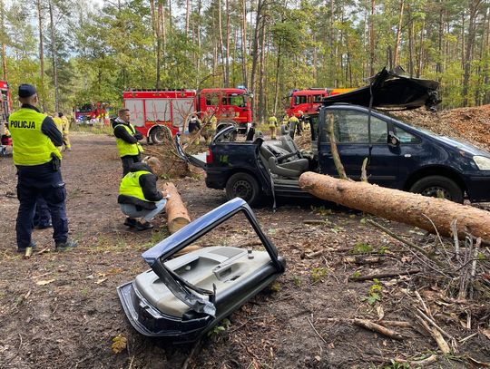 Tak szkoliły się służby mundurowe podczas akcji: Torfy 2025 - GALERIA [73]