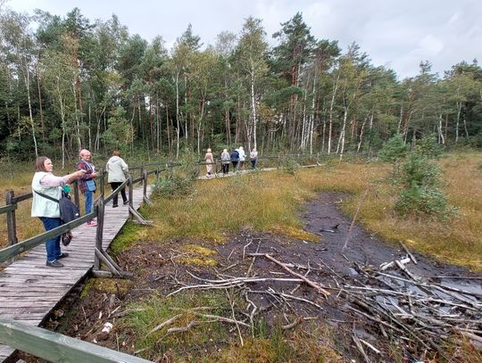 Artystyczny finał projektu w Celestynowie