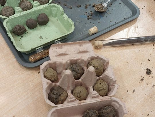 Artystyczny finał projektu w Celestynowie