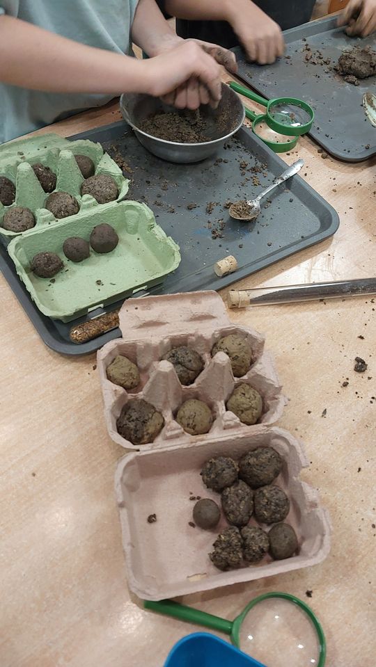 Artystyczny finał projektu w Celestynowie Artystyczny finał projektu w Celestynowie