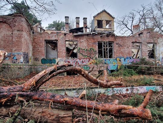 Ruiny dawnego Dworu Bojarów - fot. Agnieszka Jaskulska