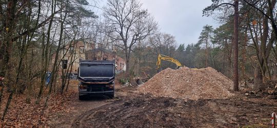 Ruiny dawnego Dworu Bojarów - fot. Agnieszka Jaskulska