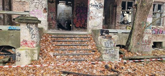 Ruiny dawnego Dworu Bojarów - fot. Agnieszka Jaskulska