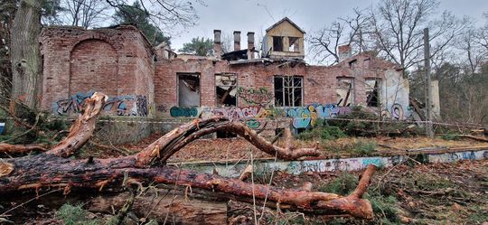 Ruiny dawnego Dworu Bojarów - fot. Agnieszka Jaskulska