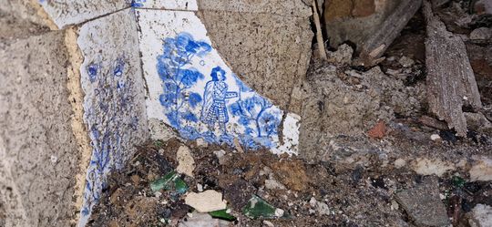 Ruiny dawnego Dworu Bojarów - fot. Agnieszka Jaskulska