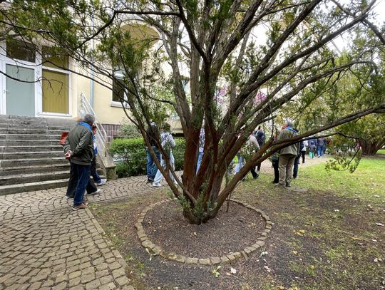 Spacer po dawnym sanatorium wojskowym ECZ w Otwocku - fot. Agnieszka Jaskulska