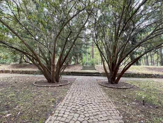 Spacer po dawnym sanatorium wojskowym ECZ w Otwocku - fot. Agnieszka Jaskulska