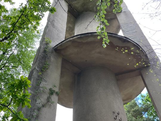 Spacer po dawnym sanatorium wojskowym ECZ w Otwocku - fot. Agnieszka Jaskulska