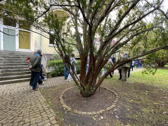 Spacer po dawnym sanatorium wojskowym ECZ w Otwocku - fot. Agnieszka Jaskulska