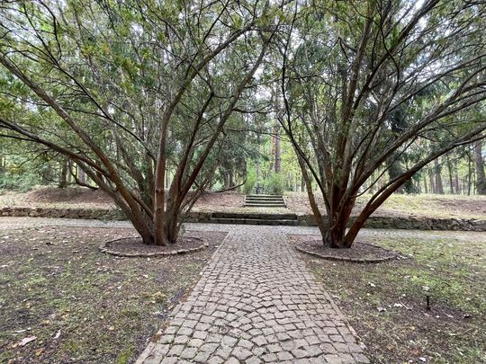 Spacer po dawnym sanatorium wojskowym ECZ w Otwocku - fot. Agnieszka Jaskulska