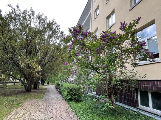 Spacer po dawnym sanatorium wojskowym ECZ w Otwocku - fot. Agnieszka Jaskulska