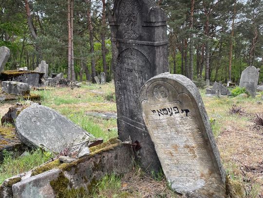 Kirkut w Anielinie. Żydowski cmentarz ukryty w lesie – GALERIA [49]